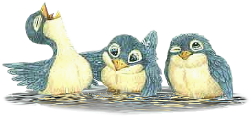 3birdsInPuddle+~+lh…